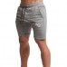 Men's Casual Elastic Waist Drawstring Sports Shorts Summer Running Fitness Training Shorts Pants