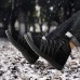 Winter Men's Plus Velvet Cotton Ankle Boots Climbing Hiking Anti-slip Warm Sports Shoes